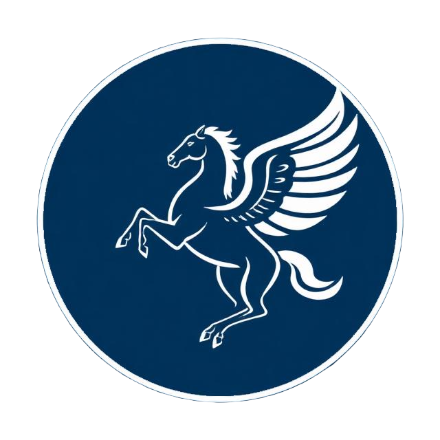 Pegasus Baros LLC